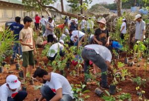 Community volunteers caring for native plants and a neighbourhood garden in India, representing sustained environmental participation.